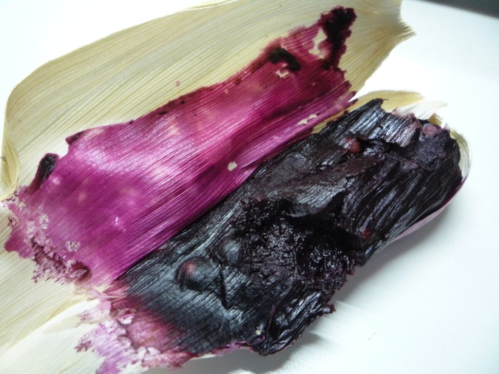Tamales de capulín en Guerrero, manjar que debes probar