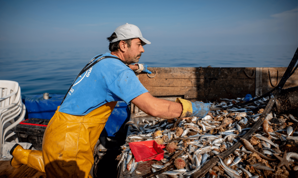 Te necesitamos para mantener vivo nuestro mar