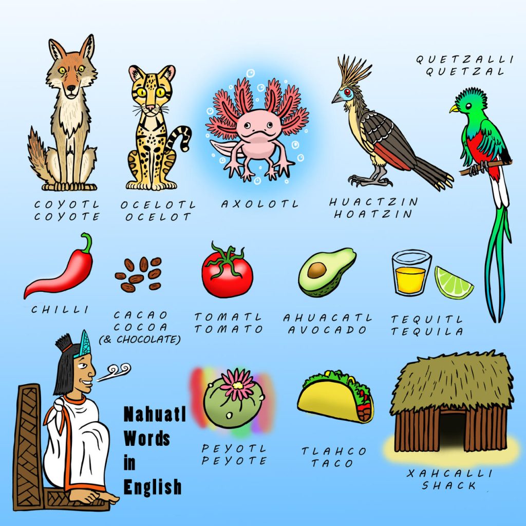 Vive Latino 2025: la guía completa de WARP