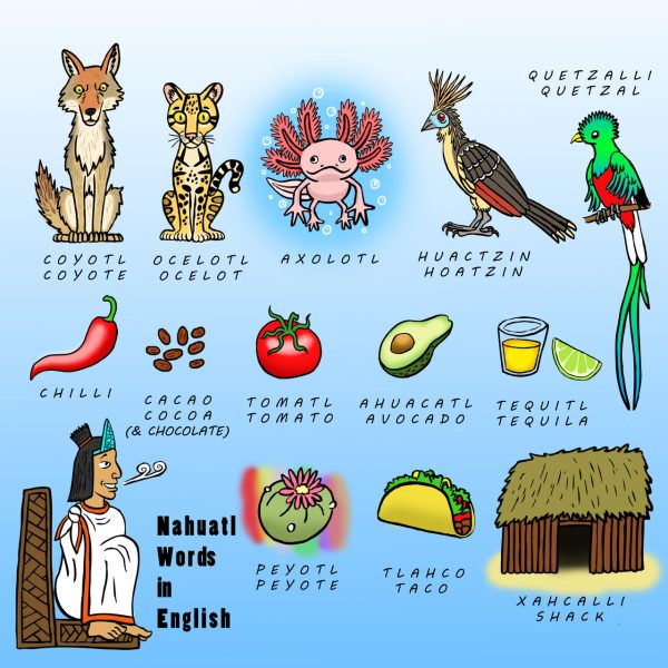 Vive Latino 2025: la guía completa de WARP