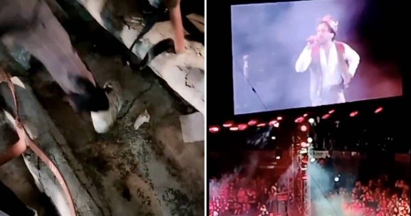 Y de las que vuelan: encuentran nido de cucarachas en concierto de Christian Nodal