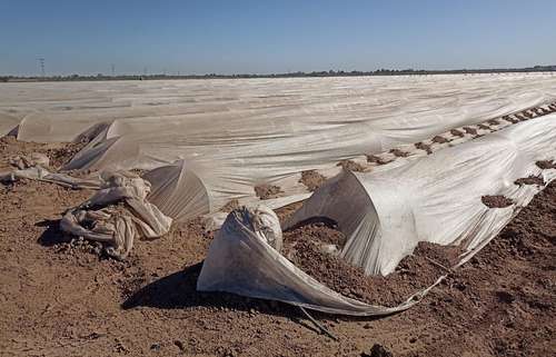 Campo mexicano, entre sequía, falta de apoyos, coyotaje...
