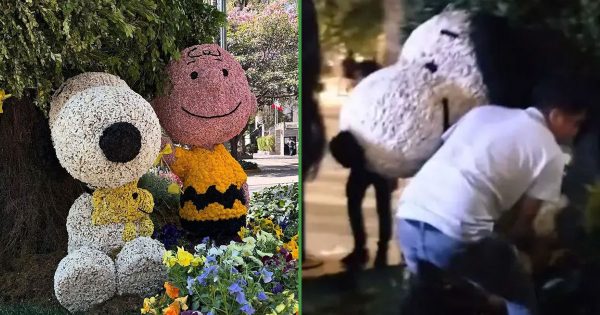 Con todo y Charlie Brown: se roban figura de Snoopy que habían puesto en Polanco
