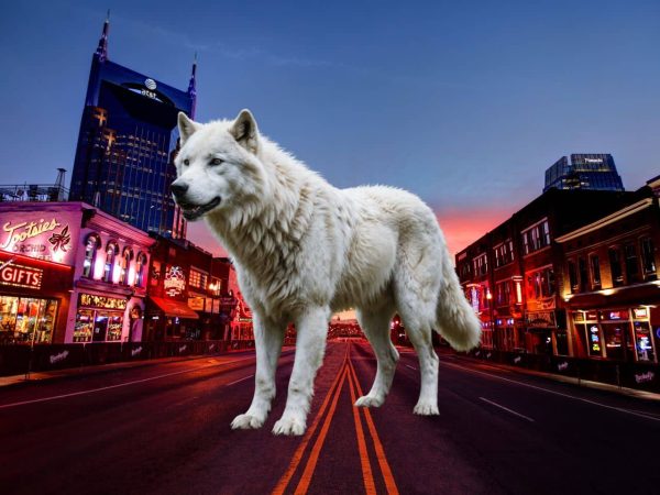 Contra la desextinción