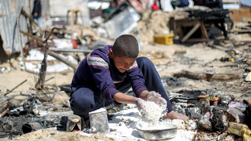 “De una prisión al aire libre, a una jaula al aire libre”