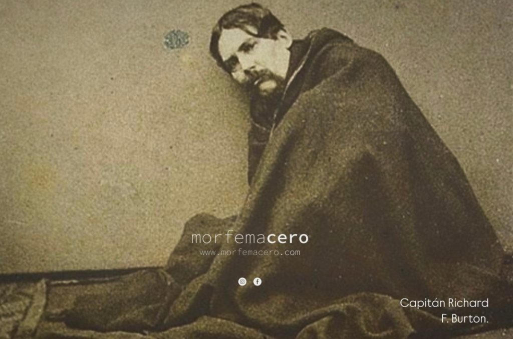 Halcón entre cuervos