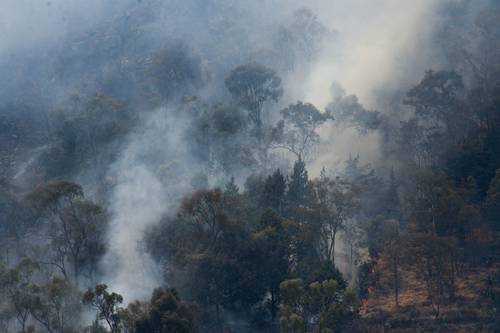 Incendio arrasa 10 hectáreas en Toluca