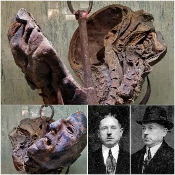 La cabeza de Peter Kurten: ¡Un momento escalofriante en Ripley’s Believe It o no!