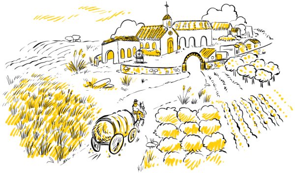 Políticas sociales adecuadas para la población jornalera