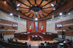 Tribunal Electoral aprueba que Sheinbaum promueva elección judicial - Elefante Blanco