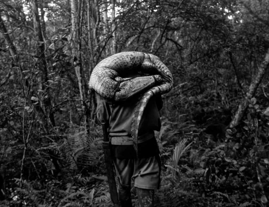 Visions du Réel 2025: De Nanuk a Landi