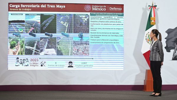 Avance construcción de trenes de pasajeros