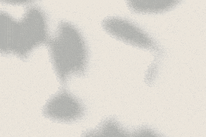 Breve Diccionario Byung-Chul Han