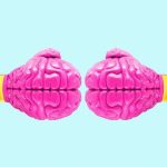 ¿Existe la mente colectiva La ciencia detrás de la sincronización neuronal