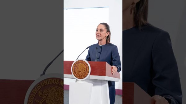 Fondo de Pensiones para el Bienestar