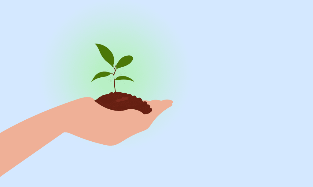 Hay un nuevo bosque en Ávila