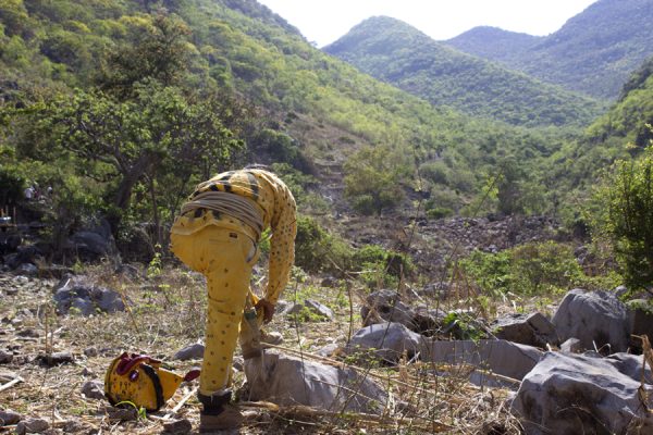 La danza de los Tecuanes en Guerrero: los jaguares que atraen la lluvia