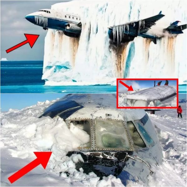 Los investigadores encuentran aviones perdidos hace mucho tiempo en icebergs: después de observar el movimiento, ¡se pusieron pálidos!