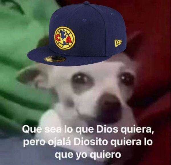 Los mejores MEMES del triunfo del América vs Pachuca en la Liguilla