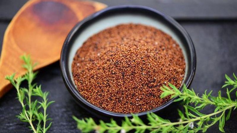 Ni avena ni quinoa: el cereal con más proteínas que potencia la memoria, frena el envejecimiento y ayuda a ganar masa muscular