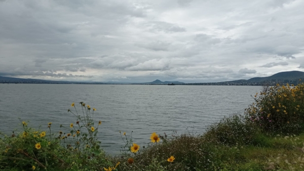 Parque Ecoturístico Laguna de Zumpango, un espejo natural