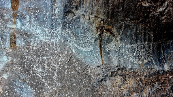 Parque Estatal Cañón de Fernández, el jardín en desierto de Durango