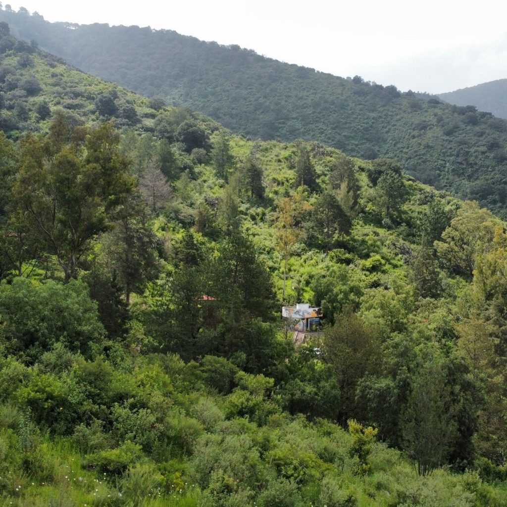 Parque Estatal Sierra de Guadalupe, un tesoro escondido entre gigantes urbanos