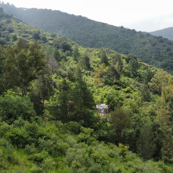 Parque Estatal Sierra de Guadalupe, un tesoro escondido entre gigantes urbanos