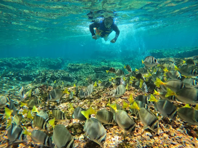 Playa La Entrega en Huatulco, un paraíso incluyente y sostenible