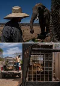 Por inseguridad, cierran refugio de fauna silvestre en Culiacán