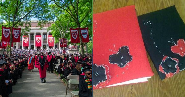 Prohibicion de Trump a extranjeros en Harvard deja como saldo 5 millones de cuadernos forrados sin usar