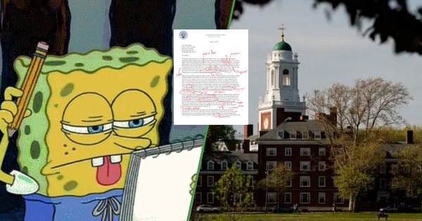Secretaría de Educación manda carta a Harvard y está llena de faltas de ortografía