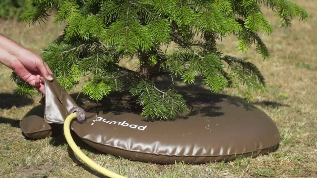 Startup alemana inventa anillo de riego que hidrata árboles durante 7 horas en olas de calor