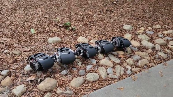 Startup estadounidense desarrolla robot que imita a los ciempiés para eliminar maleza en cultivos sin dañar las plantas