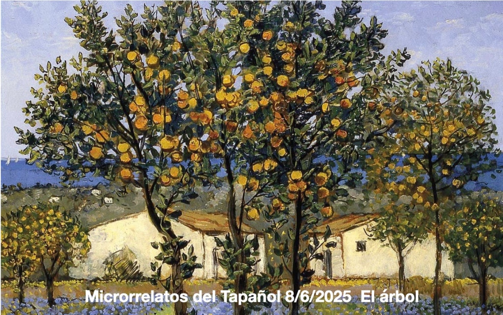 Tapañol: 18-19/6/25 tema: El árbol