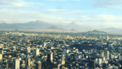 ‘Amores perros’: 25 años de un clásico del cine mexicano