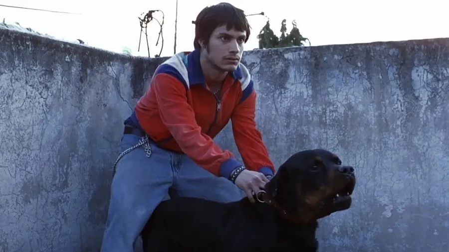 ‘Amores perros’: 25 años de un clásico del cine mexicano