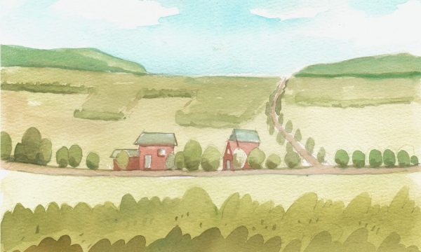 Aprovechar el conocimiento ecológico tradicional para la adaptación al cambio climático