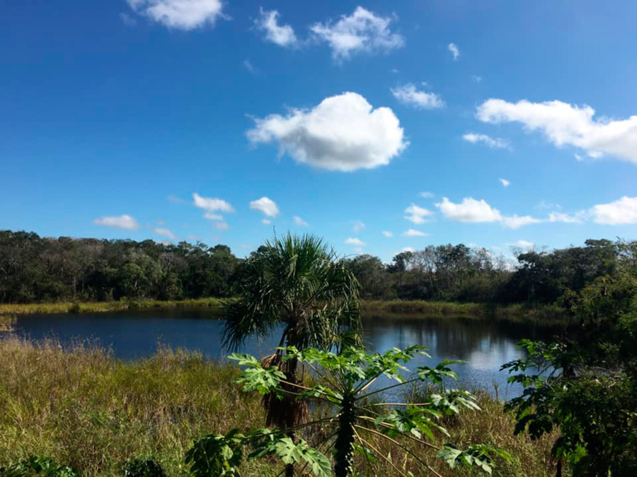 Cenote Yaal Chaac, un umbral hacia el misterio