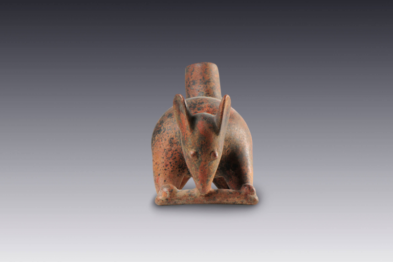 Coatíes de barro, tesoros funerarios del occidente mesoamericano