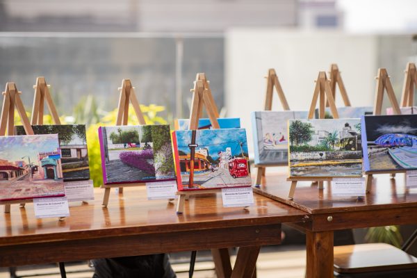 Cozumel Vivo, una visión de turismo regenerativo