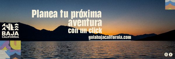 El Museo del Taco en Tijuana, un viaje interactivo