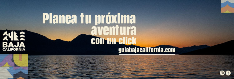 El Museo del Taco en Tijuana, un viaje interactivo