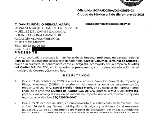 Más cruceros, menos arrecifes: la amenaza de la privatización en Cozumel (+video)