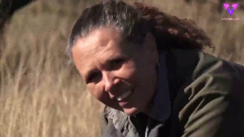 Nuevo estudio realizado en 11 reservas africanas descubrió que el descorne de los rinocerontes redujo la caza furtiva un 78%