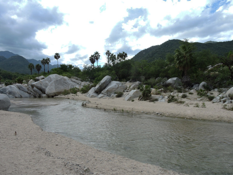 Poza del Tule, la joya de agua dulce que el desierto resguarda