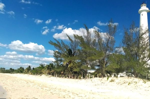 Reserva Estatal El Palmar, un paraíso por descubrir en la serenidad de Yucatán