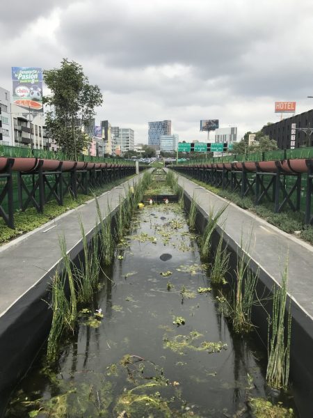 Río de la Piedad, un cuerpo de agua vivo de la ciudad que está entubado
