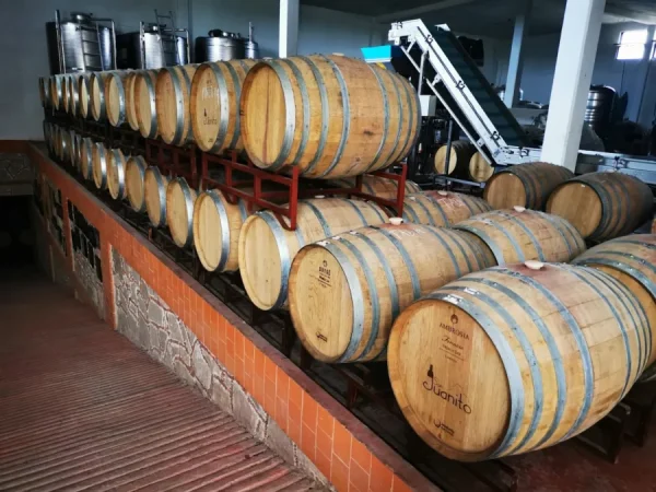 ¡Vámonos a la vendimia San Juanito! El mejor plan para una escapada a Querétaro