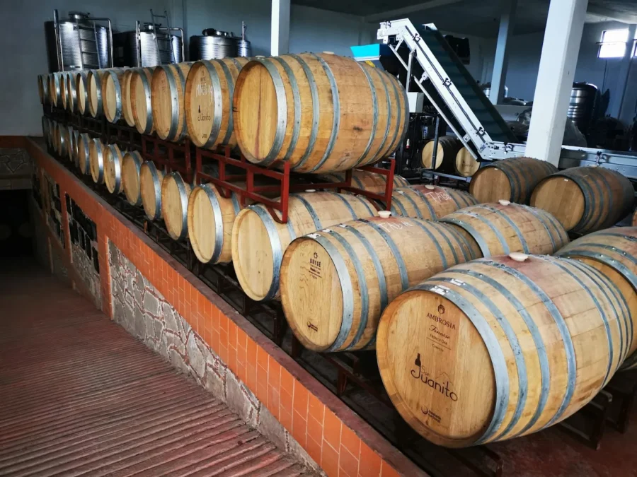 ¡Vámonos a la vendimia San Juanito! El mejor plan para una escapada a Querétaro